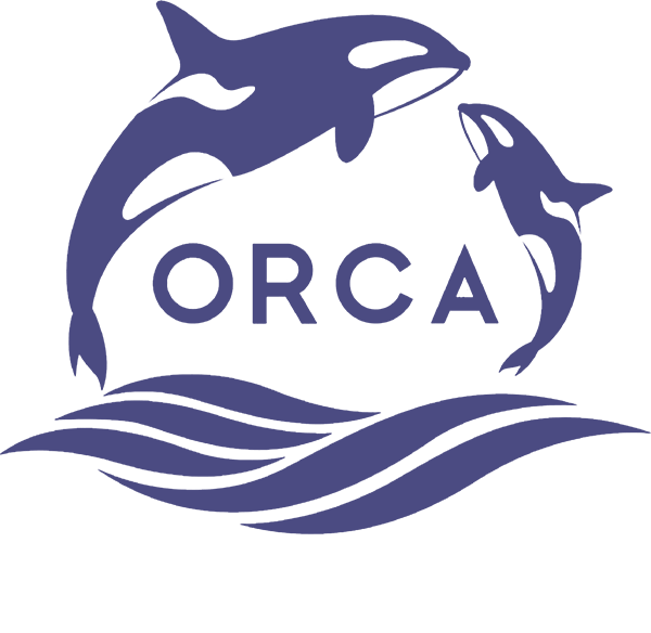 ORCA GROUP